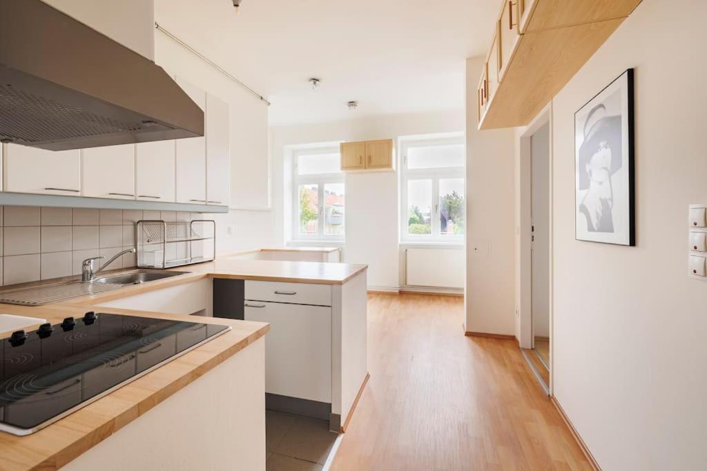 Beautiful 1 Bedroom Apartment Near Schoenbrunn Vienna Esterno foto